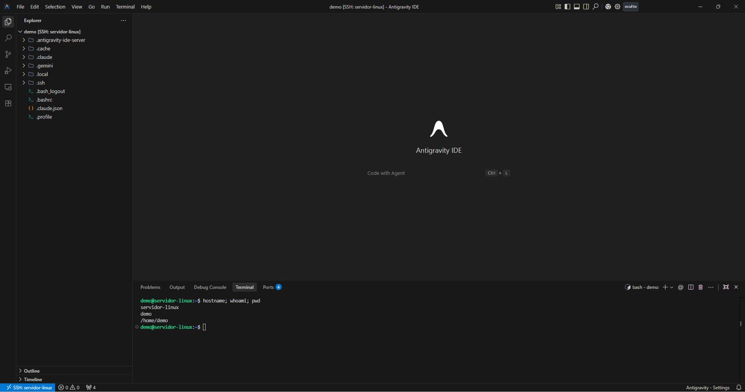 O terminal integrado já é o Linux